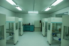 青海P3實驗室布局建設基本要求